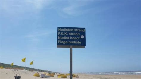 amsterdam nude beach|A unique nude beach experience .